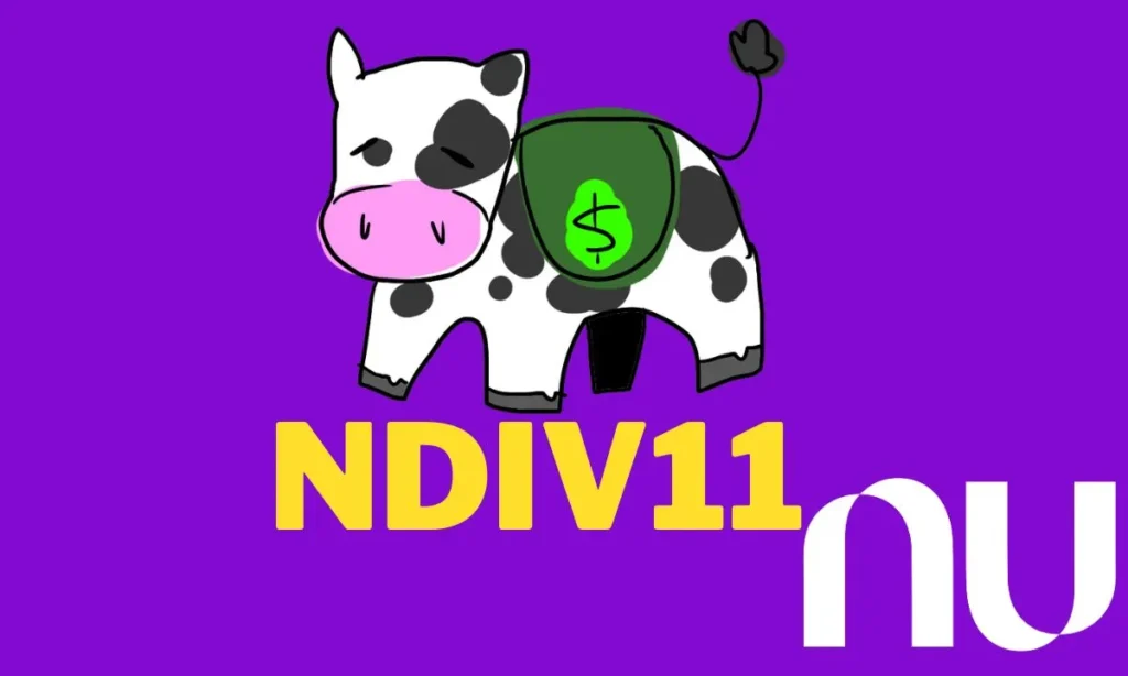 ndiv11