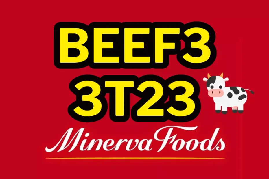 beef3-3t23